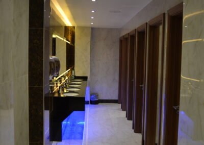 Morph Interior-Viglen House